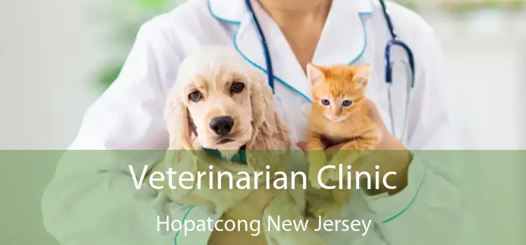 Veterinarian Clinic Hopatcong New Jersey