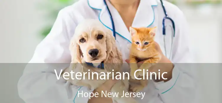 Veterinarian Clinic Hope New Jersey