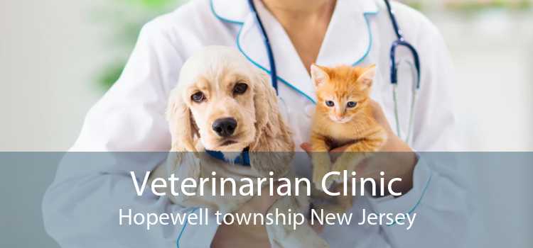 Veterinarian Clinic Hopewell township New Jersey