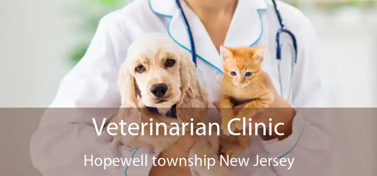 Veterinarian Clinic Hopewell township New Jersey