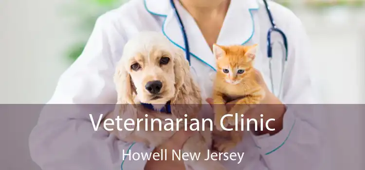 Veterinarian Clinic Howell New Jersey