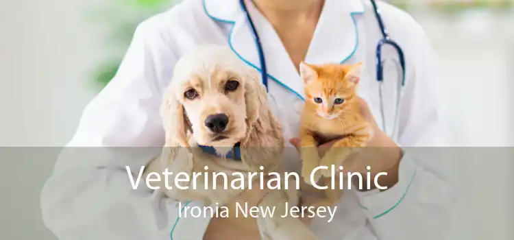 Veterinarian Clinic Ironia New Jersey