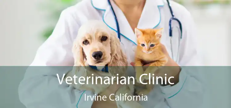 Veterinarian Clinic Irvine California