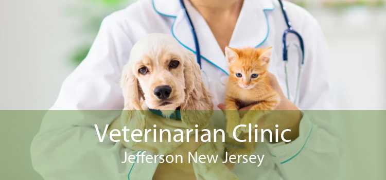 Veterinarian Clinic Jefferson New Jersey