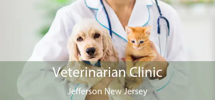 Veterinarian Clinic Jefferson New Jersey