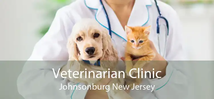 Veterinarian Clinic Johnsonburg New Jersey
