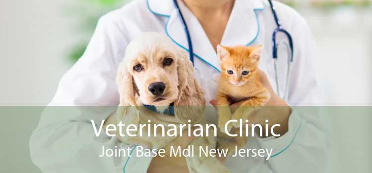 Veterinarian Clinic Joint Base Mdl New Jersey