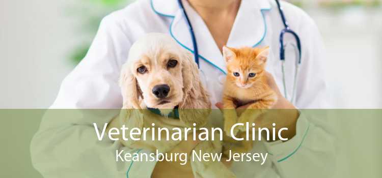 Veterinarian Clinic Keansburg New Jersey