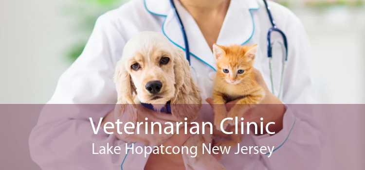 Veterinarian Clinic Lake Hopatcong New Jersey