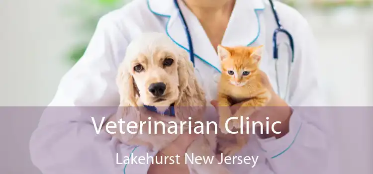 Veterinarian Clinic Lakehurst New Jersey