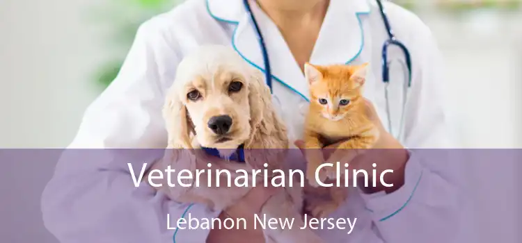 Veterinarian Clinic Lebanon New Jersey