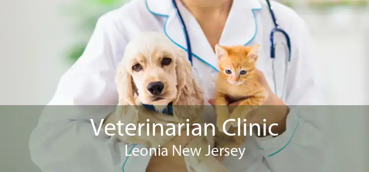 Veterinarian Clinic Leonia New Jersey