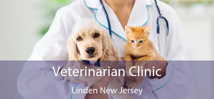 Veterinarian Clinic Linden New Jersey