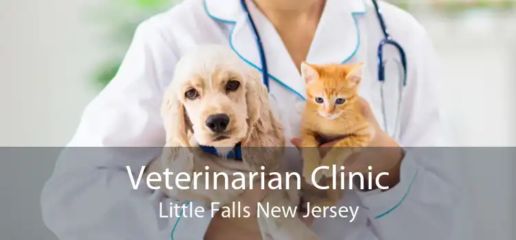 Veterinarian Clinic Little Falls New Jersey