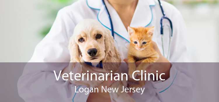 Veterinarian Clinic Logan New Jersey
