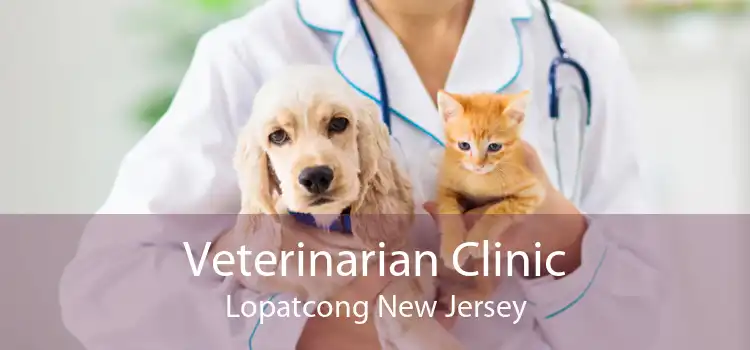 Veterinarian Clinic Lopatcong New Jersey