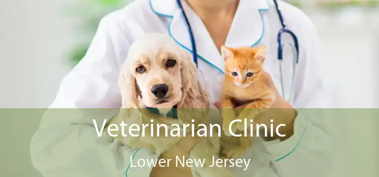 Veterinarian Clinic Lower New Jersey