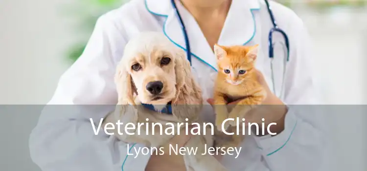 Veterinarian Clinic Lyons New Jersey
