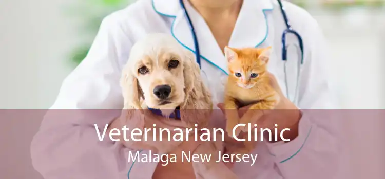 Veterinarian Clinic Malaga New Jersey