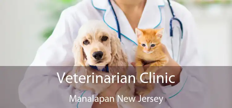 Veterinarian Clinic Manalapan New Jersey