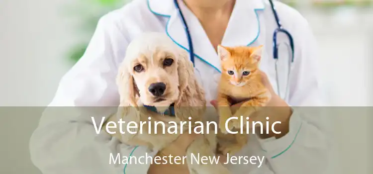 Veterinarian Clinic Manchester New Jersey