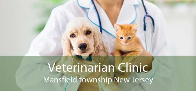 Veterinarian Clinic Mansfield township New Jersey