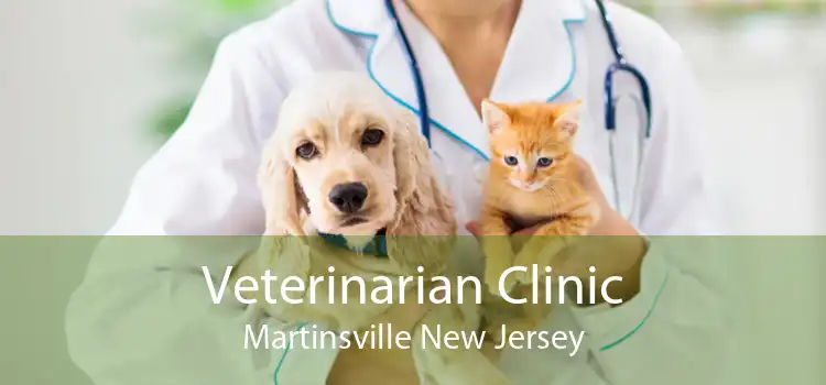 Veterinarian Clinic Martinsville New Jersey