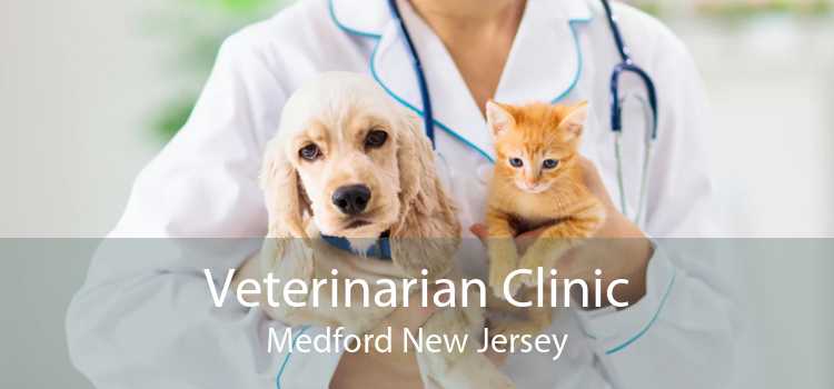 Veterinarian Clinic Medford New Jersey