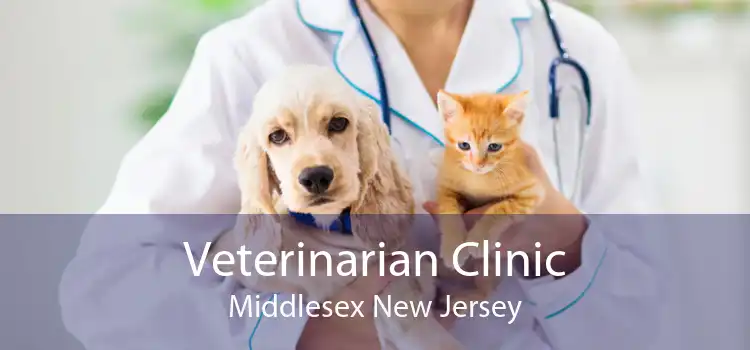 Veterinarian Clinic Middlesex New Jersey