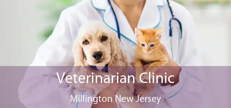 Veterinarian Clinic Millington New Jersey