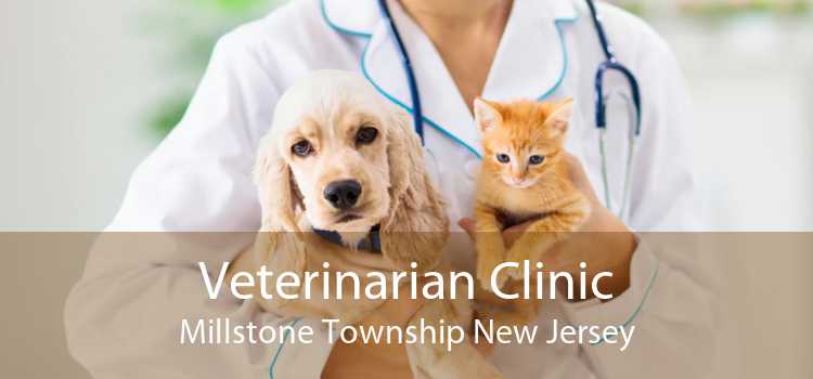 Veterinarian Clinic Millstone Township New Jersey