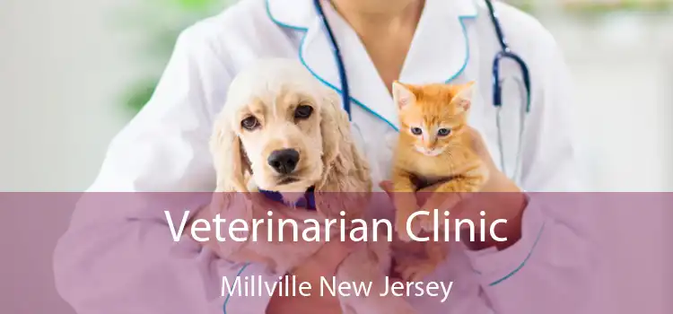 Veterinarian Clinic Millville New Jersey