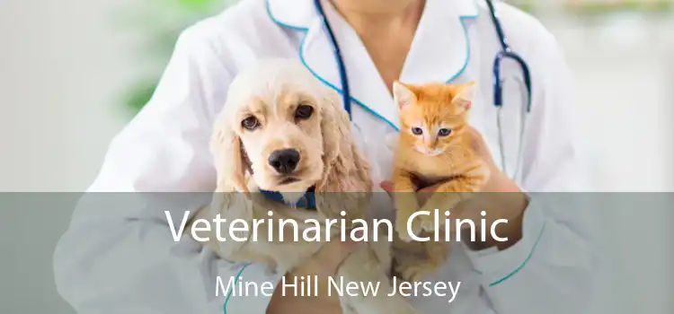 Veterinarian Clinic Mine Hill New Jersey