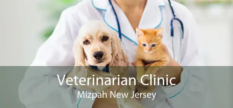 Veterinarian Clinic Mizpah New Jersey
