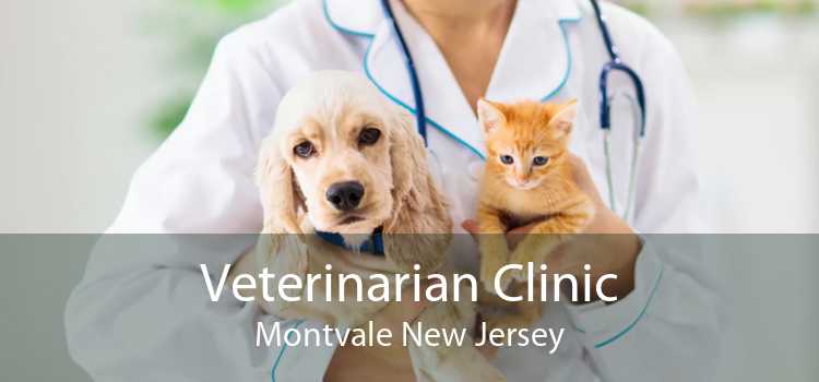 Veterinarian Clinic Montvale New Jersey