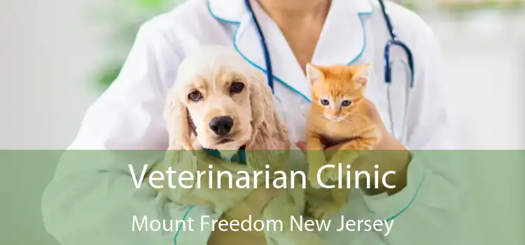 Veterinarian Clinic Mount Freedom New Jersey