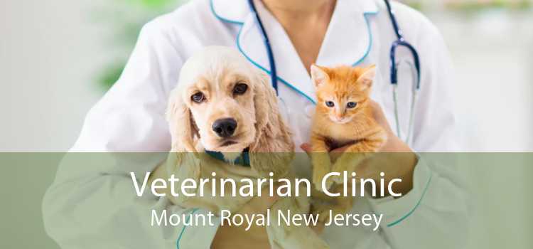 Veterinarian Clinic Mount Royal New Jersey