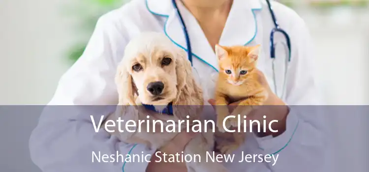 Veterinarian Clinic Neshanic Station New Jersey