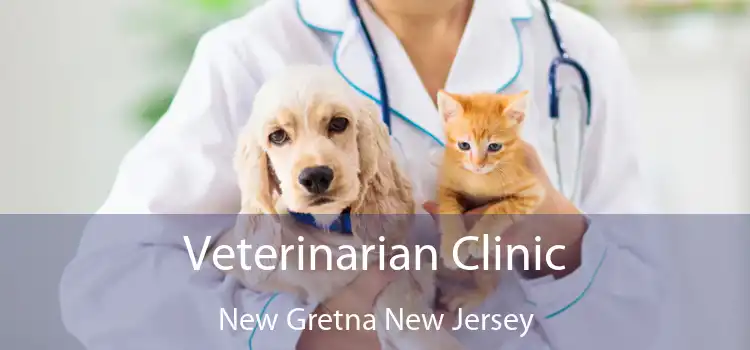Veterinarian Clinic New Gretna New Jersey