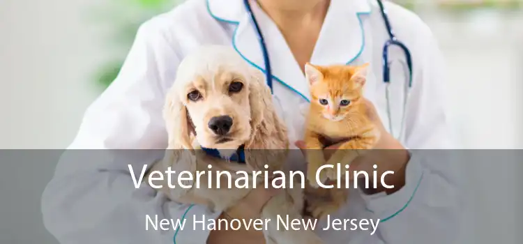 Veterinarian Clinic New Hanover New Jersey