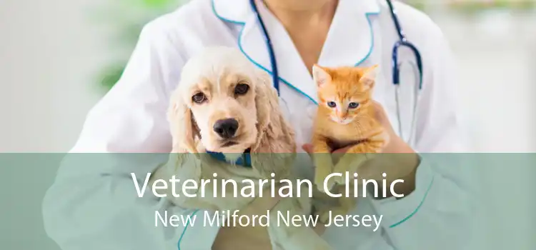 Veterinarian Clinic New Milford New Jersey