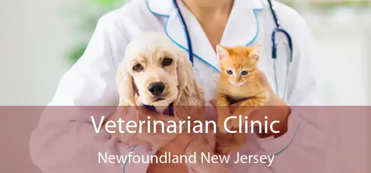 Veterinarian Clinic Newfoundland New Jersey