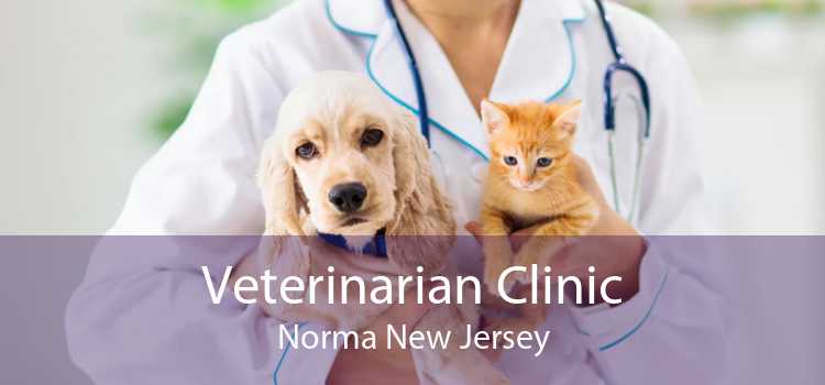 Veterinarian Clinic Norma New Jersey