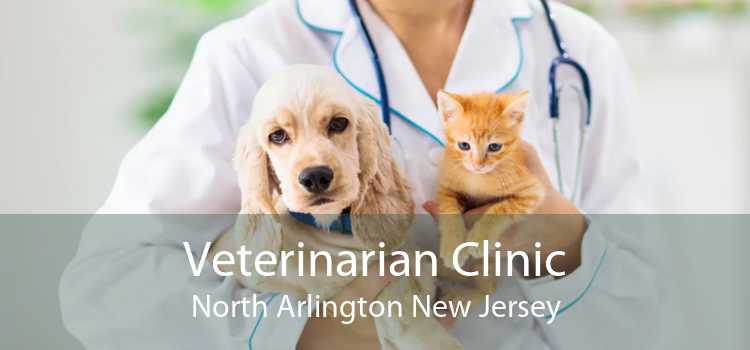 Veterinarian Clinic North Arlington New Jersey