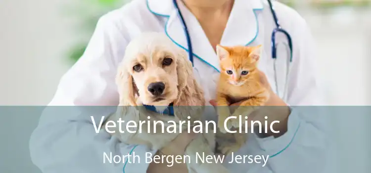 Veterinarian Clinic North Bergen New Jersey