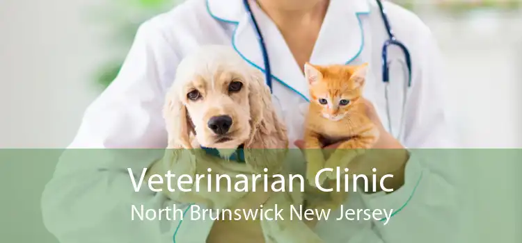 Veterinarian Clinic North Brunswick New Jersey