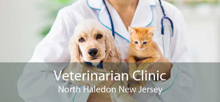 Veterinarian Clinic North Haledon New Jersey