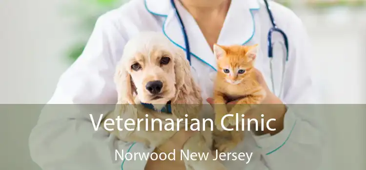 Veterinarian Clinic Norwood New Jersey