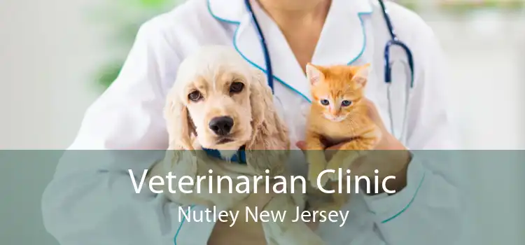 Veterinarian Clinic Nutley New Jersey