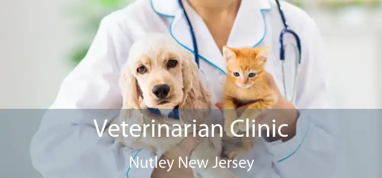 Veterinarian Clinic Nutley New Jersey